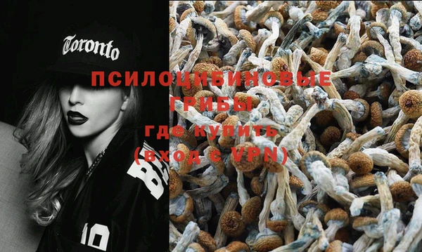 кокс Абдулино