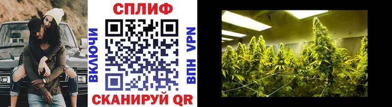 Бошки Шишки гибрид  Азов 